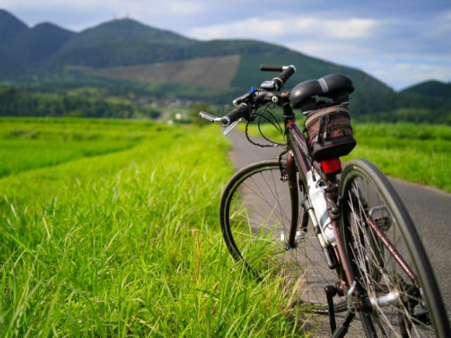 田舎道と自転車