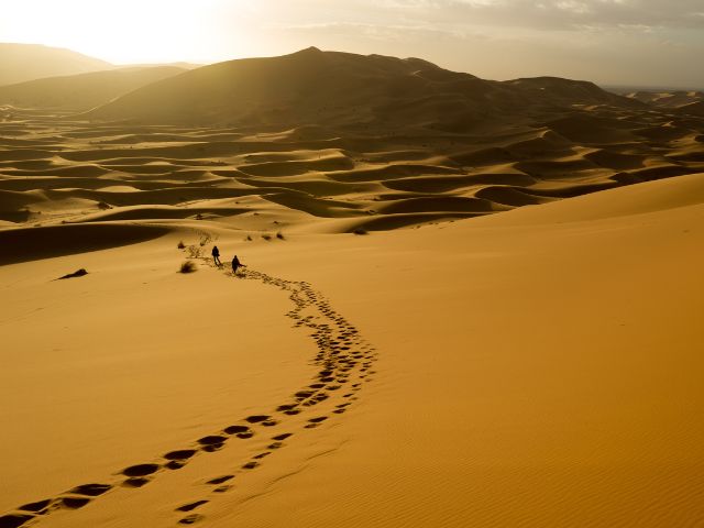 砂漠と旅人の画像