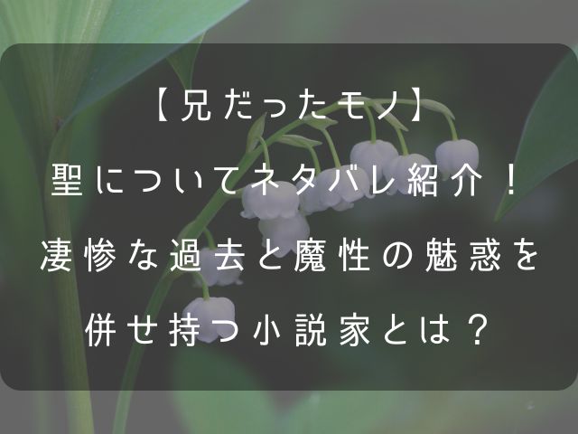 【兄だったモノ】聖についてのネタバレ紹介のアイキャッチ画像